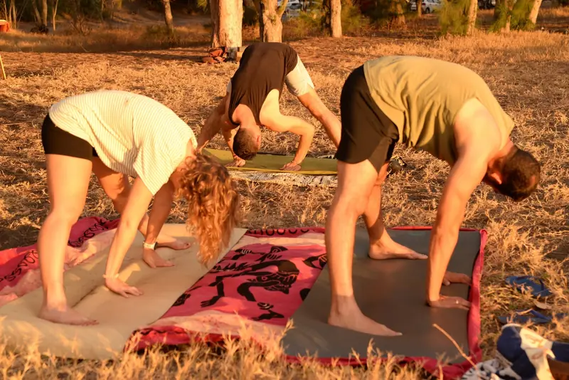 Débutants en flexion avant pendant un cours de yoga en plein air