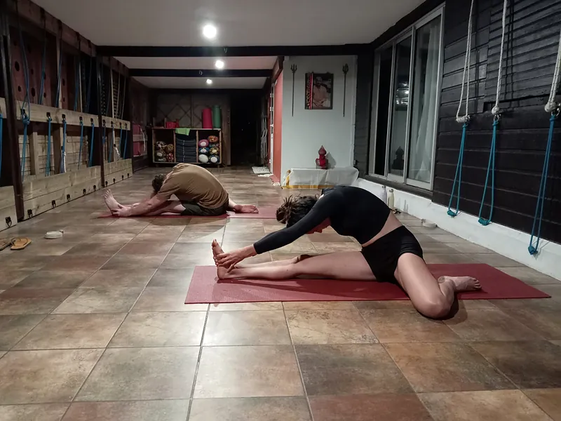 Élèves en flexion avant sur leur tapis, pendant un cours de yoga en salle