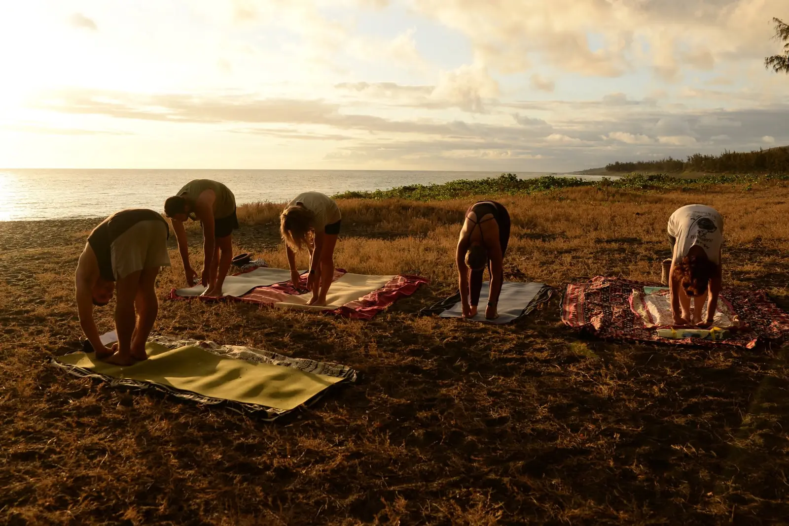Débutants en salutation au soleil pendant un cours de yoga en plein air